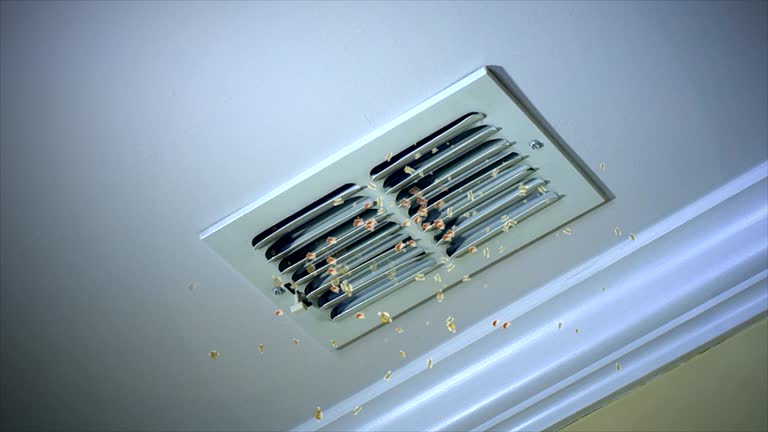 Best Residential Air Duct Cleaning  in Long Branch, VA