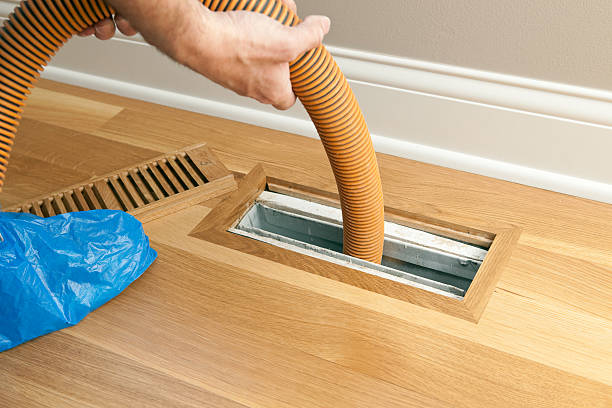 Best Air Duct Mold Removal  in Long Branch, VA
