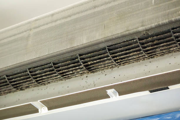 Best Affordable HVAC Duct Cleaning  in Long Branch, VA