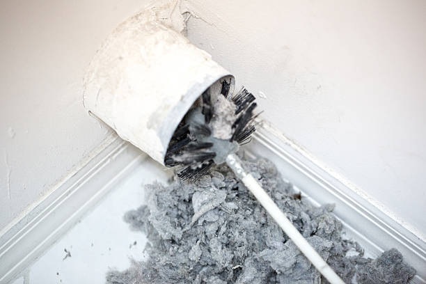 Best Duct Cleaning Specialists  in Long Branch, VA